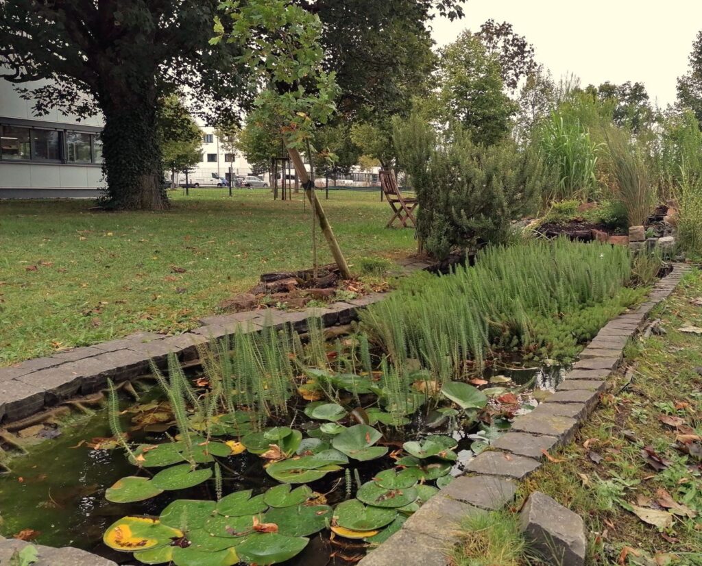 Urbaner Garten bei der Firma arnotec in Karlsruhe